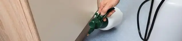 Bed bug exterminator treating baseboards and cracks with targeted spray in Buffalo, NY