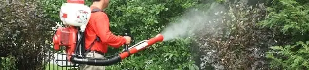 Mosquito control technician fogging shrubs and landscaping for mosquito treatment in Buffalo, NY