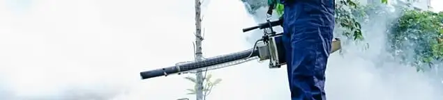 Pest control technician fogging an outdoor area for insect control in Buffalo, NY