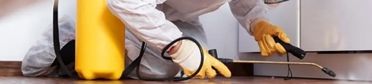 Roach exterminator treating cracks and crevices along kitchen baseboards in Buffalo, NY