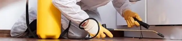 Roach exterminator treating cracks and crevices along kitchen baseboards in Buffalo, NY