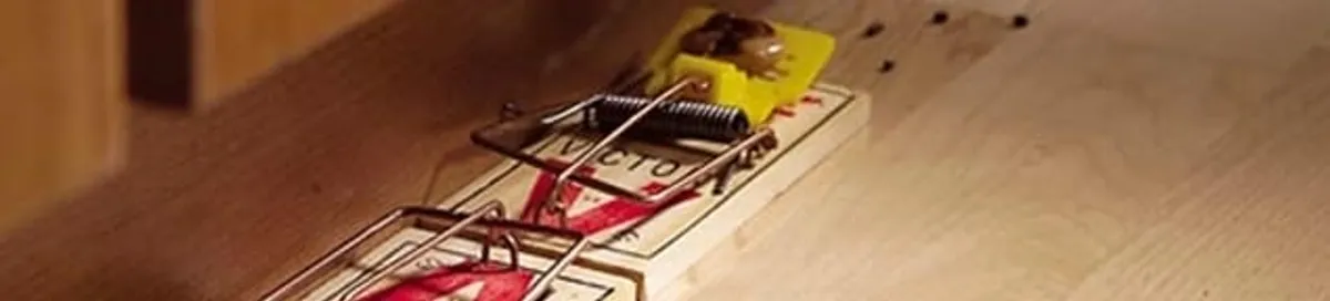 Rodent trap set indoors for rodent control and prevention in Buffalo, NY