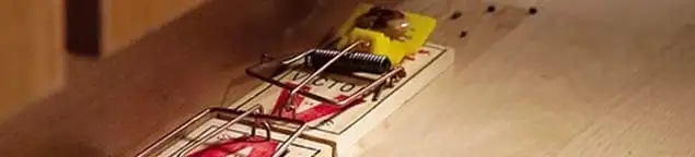 Rodent trap set indoors for rodent control and prevention in Buffalo, NY