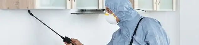 Termite treatment technician applying indoor pest control spray in Buffalo, NY